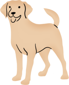 home fico pets